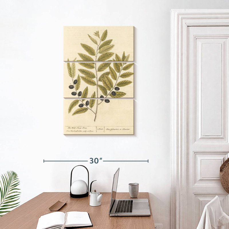 Keiri Olive Branch I, 32" H x 20" W
