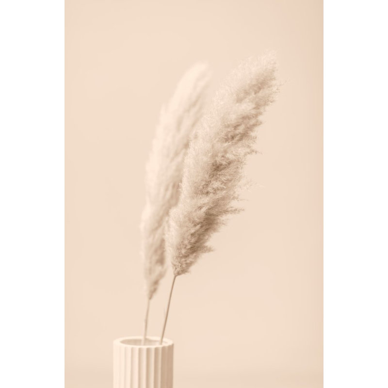 Wrapped Canvas Print, 50.8cm H x 76.2cm W