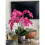 Orchidée en fleurs dans un vase-68766511
