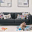 Pets Lumbar Pillow Cover & Insert
