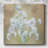 " Baby's Breath Study II "-344610778