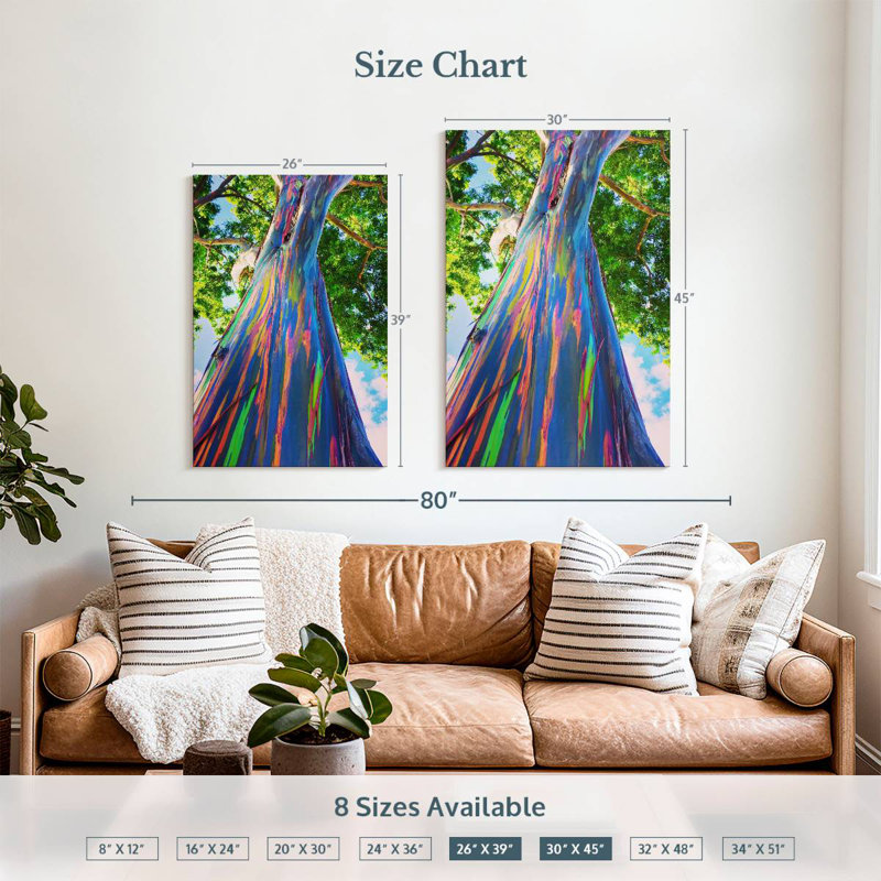 Harnek Oahu Rainbow Eucalyptus Tree, 39" H x 26" W