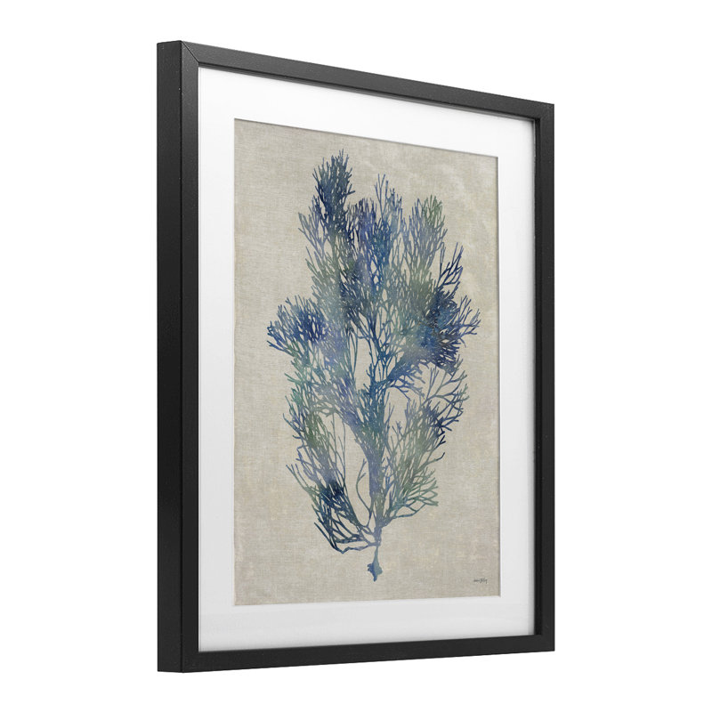«Misty Blue Coral Study», reproduction sous verre encadrée, design par Amber Sterling, 16 x 13