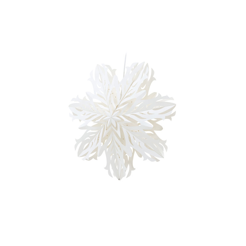 Archbald 1 - Light Unique/Statement Pendant