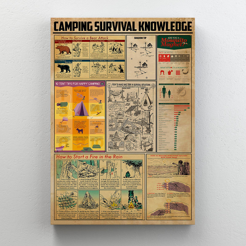 Camping Knowledge - Wrapped Canvas Graphic Art, 20" H x 16" W x 2" D