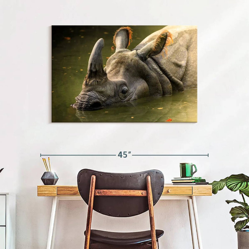 Crowle Rhino In Muddy Water