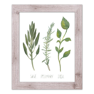 " Herbs "