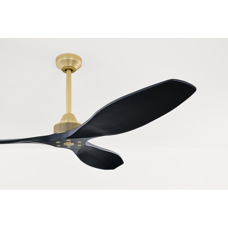 Hexanova Smart Ceiling Fan, Brushed Brass with Black Blades, 60"