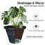 Ensemble de deux pots de fleurs avec relief classique-1157068811