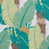 Palm