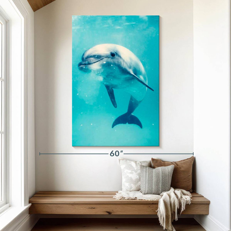 Brampt Bottlenose Dolphin Underwater, 51" H x 34" W