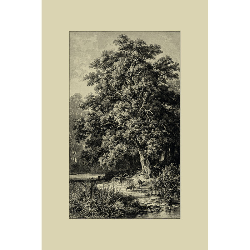 Oak Tree - Wrapped Canvas Art Prints, 76cm H x 51cm W x 3.8cm D