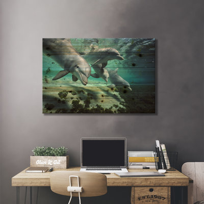 " Bottlenose Dolphin Pod, Hawaii " by Flip Nicklin