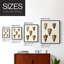 Impression encadrée «Cone Shell Collection II» - bois massif-383700412-383700409