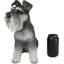 Gibsonburg, grand adorable chiot schnauzer