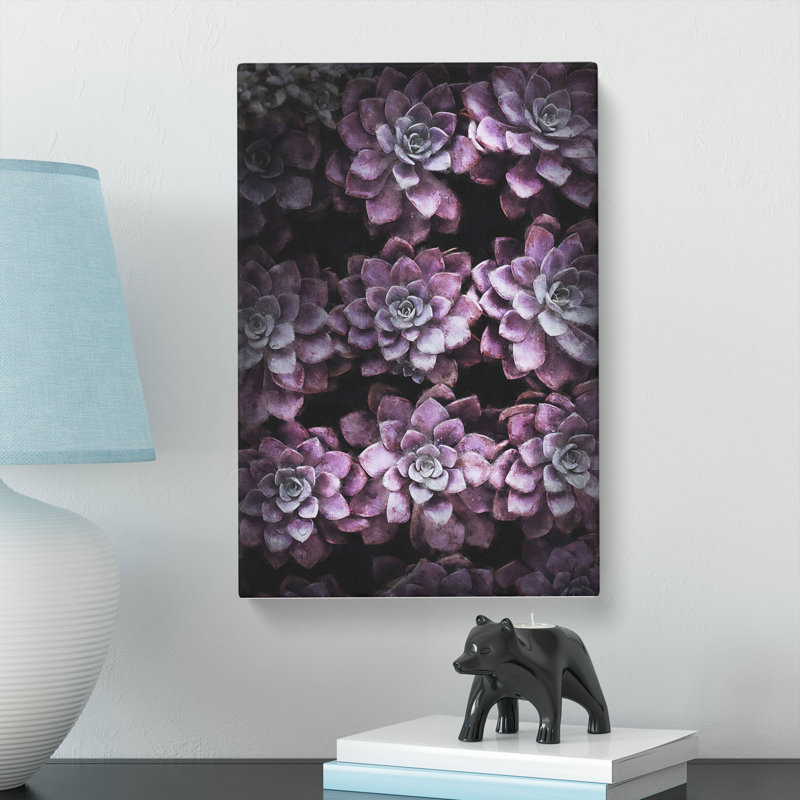 Pretty Purple Succulent Plants - Wrapped Canvas, 50cm H x 35cm W x 3cm D