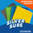 SILVADUR Antimicrobial Cleaning Cloth (Pack of 12)-1187161545