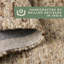 Wool Indoor Rug-99316401