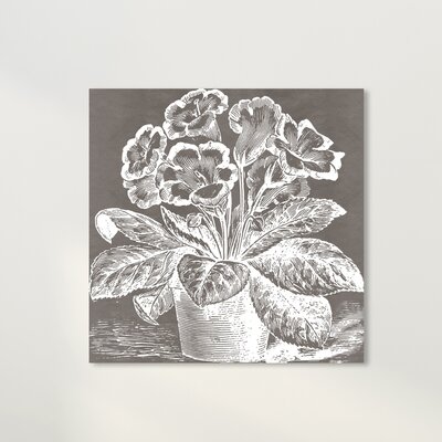 Floral and Botanical Potted Primrose Woodblock Florals - Wrapped Canvas Graphic Art Print -  August Grove®, BA68D92AF21A405FA768091B011A48E3