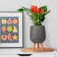 Concrete Effect Round Planter on Hardwood Legs, Round Indoor Plant Pot Stand for Indoor Plants, Indoor Flower Pot with Honeycomb Pattern-818477277-911390650