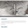 Harmony Pull Down Single Handle Kitchen Faucet