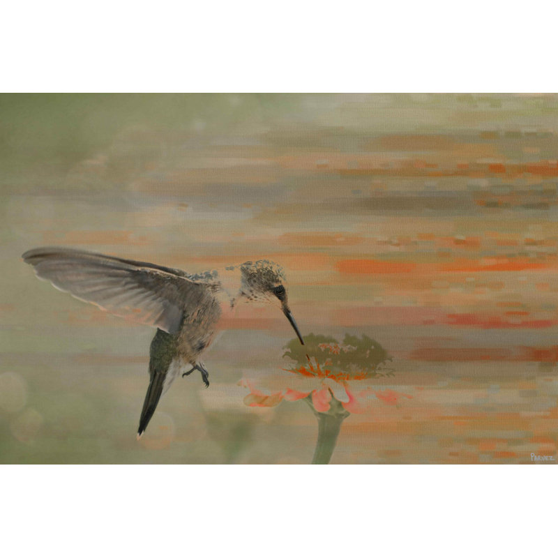 Parvez Taj - Wrapped Canvas Print, 101cm H x 152cm W
