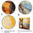Patchwork Donkey Pastures III - Donkey Wall Art-1326721295-1326721292