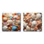 Photo de plage, coquillages ensoleillés - ensemble de 2 carrés de plage-594696557-594696563