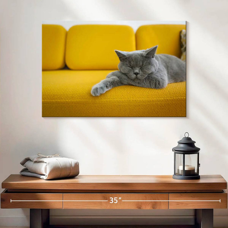 Brampt Cat On Sofa, 16" H x 24" W