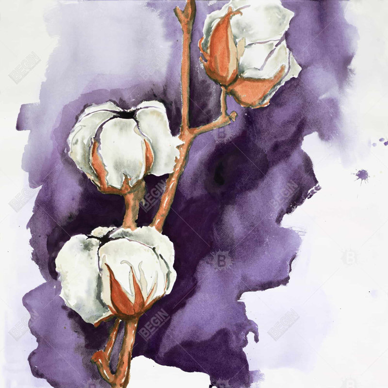 "Fleurs de coton sur fond mauve"
