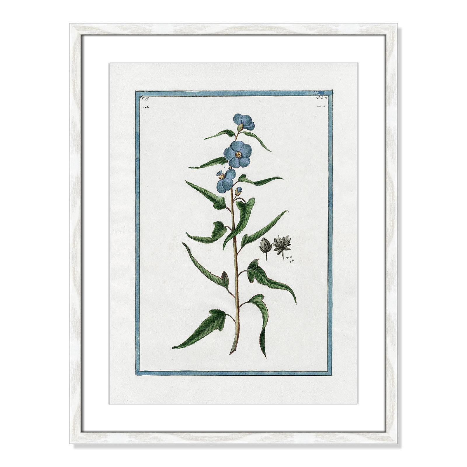Colombe "Shabby Elegance Botanical I" Print, 17" W x 23" H, White Framed
