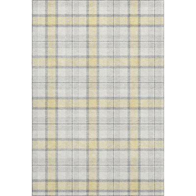 Premium Machine Washable Corum AMF1052 Plaid Rug