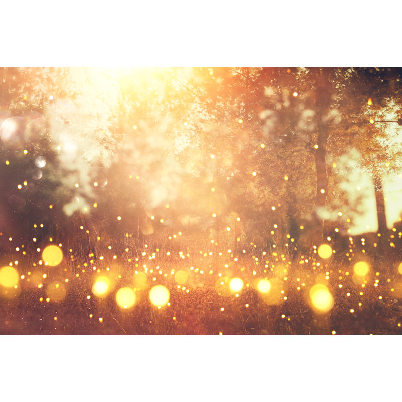 Blurred Abstract Photo by Tomertu - Wrapped Canvas Print, 51cm H x 76cm W