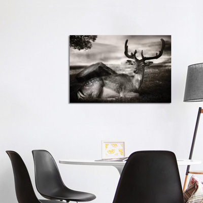 Resting Bambi by Sandra Štimac - Wrapped Canvas Gallery-Wrapped Canvas Giclée