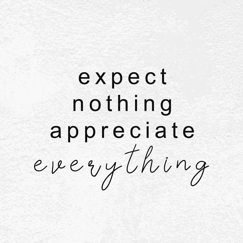 Expect Nothing - Wrapped Canvas Textual Art, 30" H x 30" W  