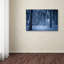 «Blue Frost» par Philippe Sainte-Laudy - reproduction de photo sur toile tendue-23092391
