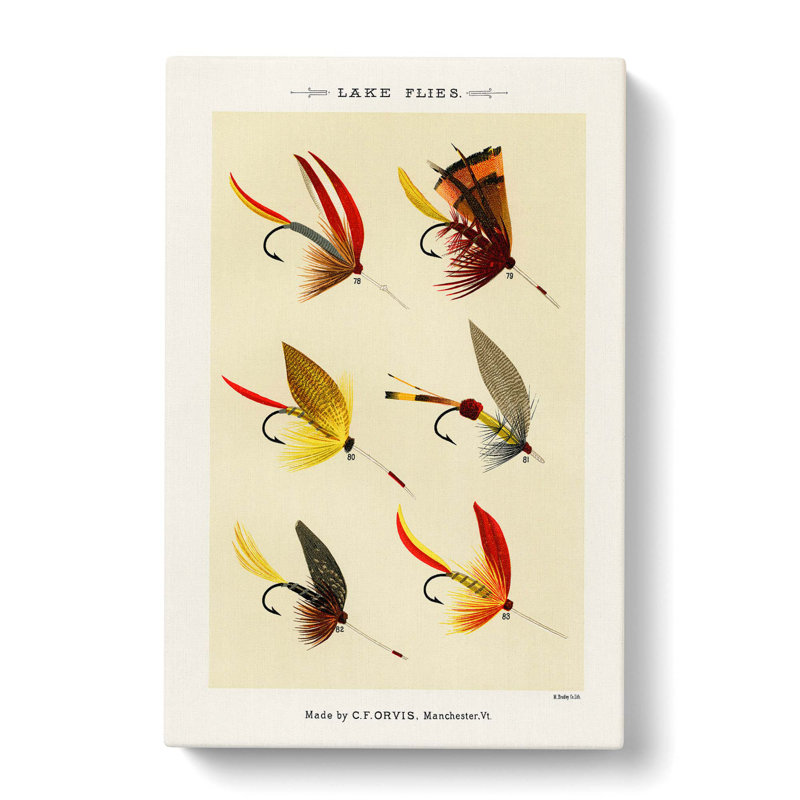 Lake Fishing Flies Version 7 by Mary Orvis Marbury - Wrapped Canvas, 50cm H x 35cm W x 3cm D