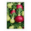  Tapis lavable avec légumes chou-rave-1893669343