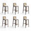 Chaise d'appoint en noyer massif (ensemble de 6)-1681149810-1681149813