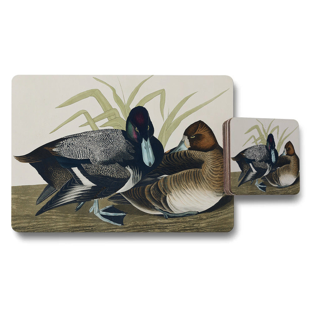 Mallard Duck Placemats And Coaster Set With Vintage Illustration