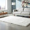 Mikaeel Faux Fur Indoor Rug