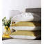Charlie Square Pillow Cover & Insert-48149396