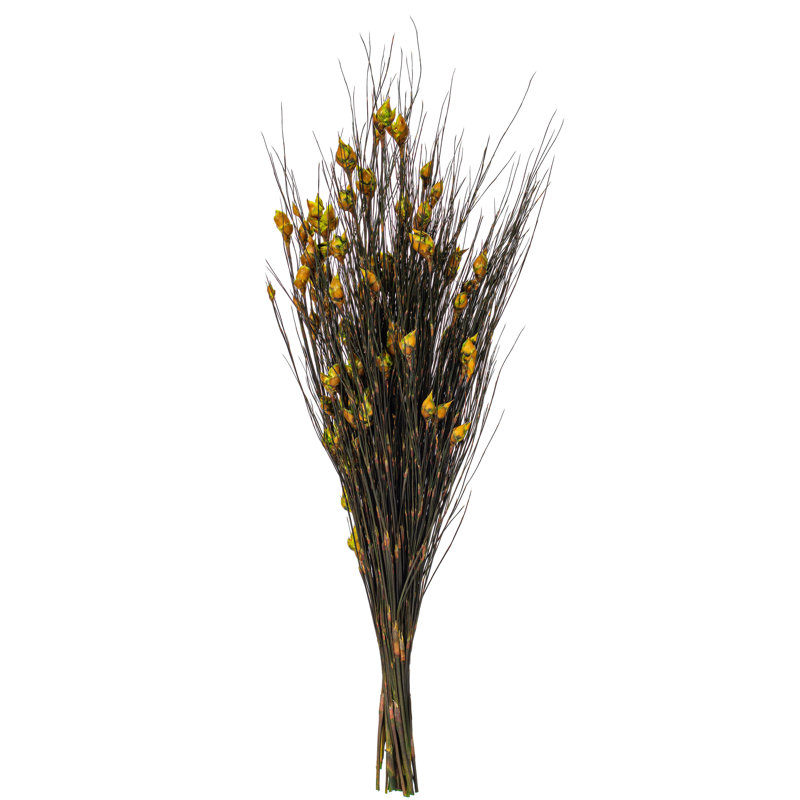 Preserved Bell Grass Arrangement
