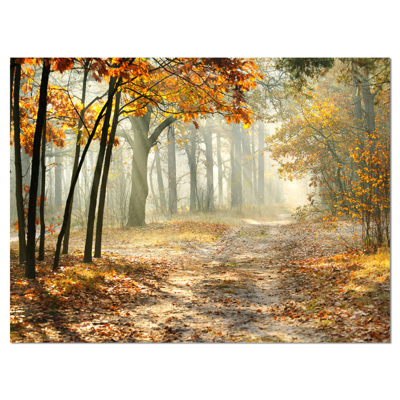 Paysage d'automne, reproduction d'art sur toile, jaune matin d'automne, H 12 po x l 20 po x P 1 po