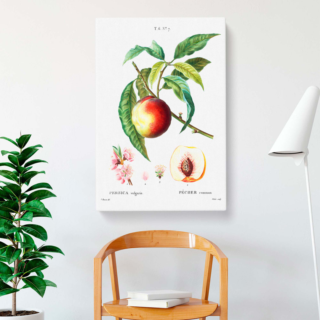 Peach Tree Flowers by Pierre-Joseph Redoute - Wrapped Canvas