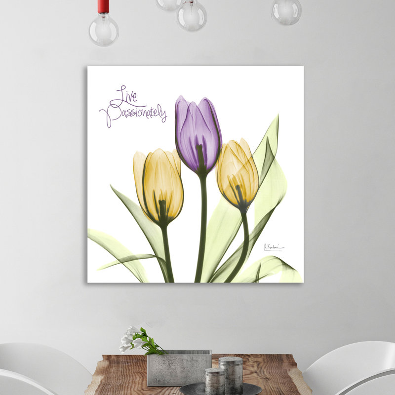 Live Passionately Tulips - Wrapped Canvas Print, 91 cm H x 91 cm W