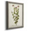 Antique Herb Botanical I - reproduction d'art sur toile encadrée-1316057391