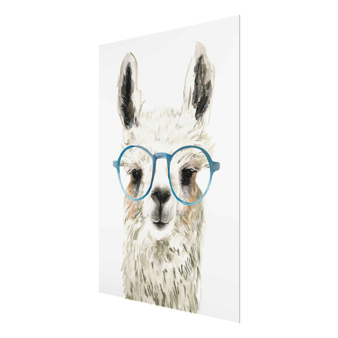 Glasbild Hip Lama mit Brille III