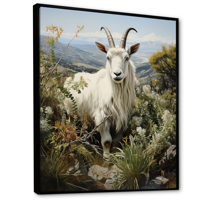 «White Meadow Buck Goat Peaks», art mural animal de chèvre, Cadre flottant noir, 32" H x 24" W