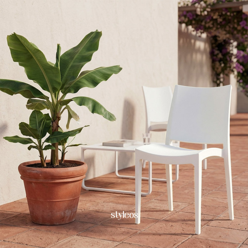 Dining Chair